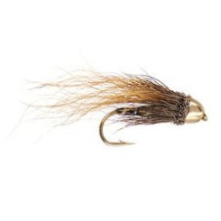 Black Hairy Conehead 2