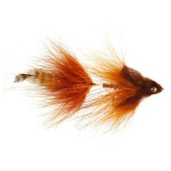 Jointed Sculpin Brown 2