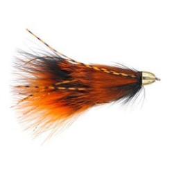 Phillippes Flu Shot Burnt Orange 2