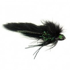 Trinas Big Head Todd Black 2