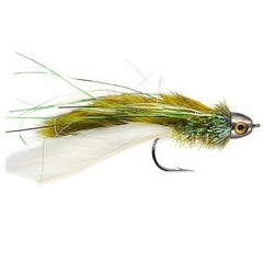 Clarkes Rat Olive 2