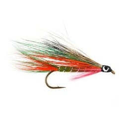 Little Brook Trout 2