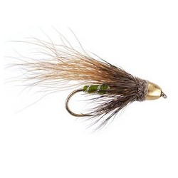 Olive Hairy Conehead 2