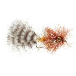 SRA Double Bunny Dark Chocolate Chin 2