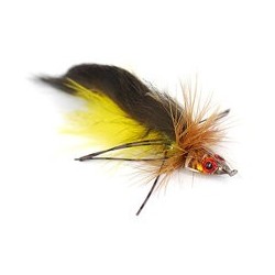 Trinas Big Head Todd Brown Yellow 2